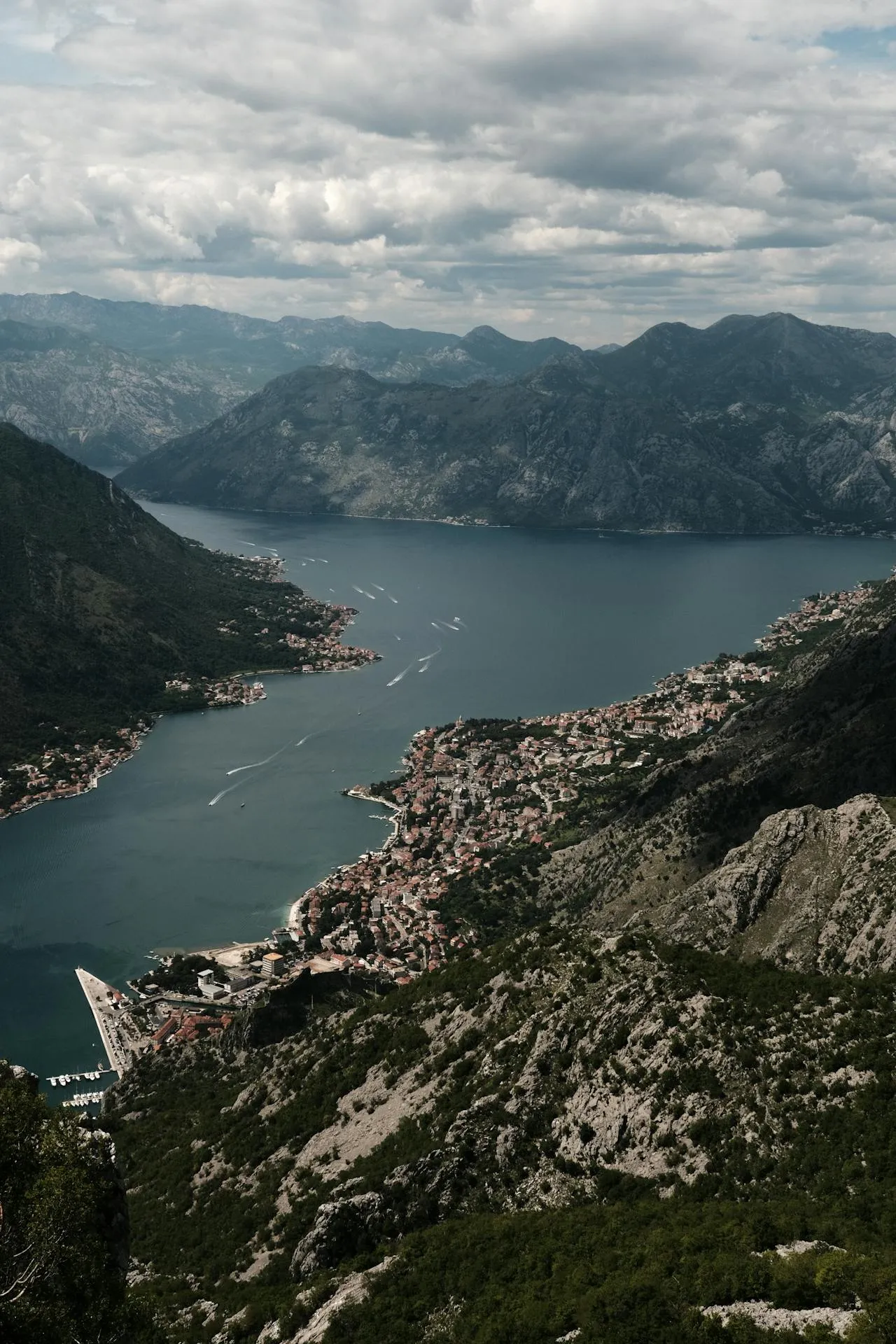 Kotor